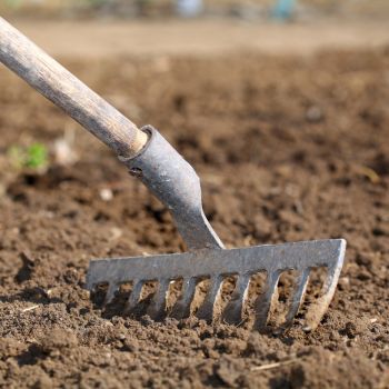Preparing Your Soil for Sowing and Planting
