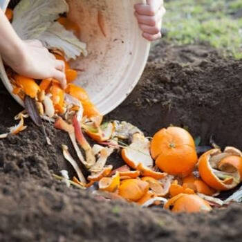 Composting Made Easy: Trench Composting