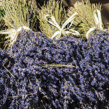 6 Ways to Utilise the Lavender in Your Garden