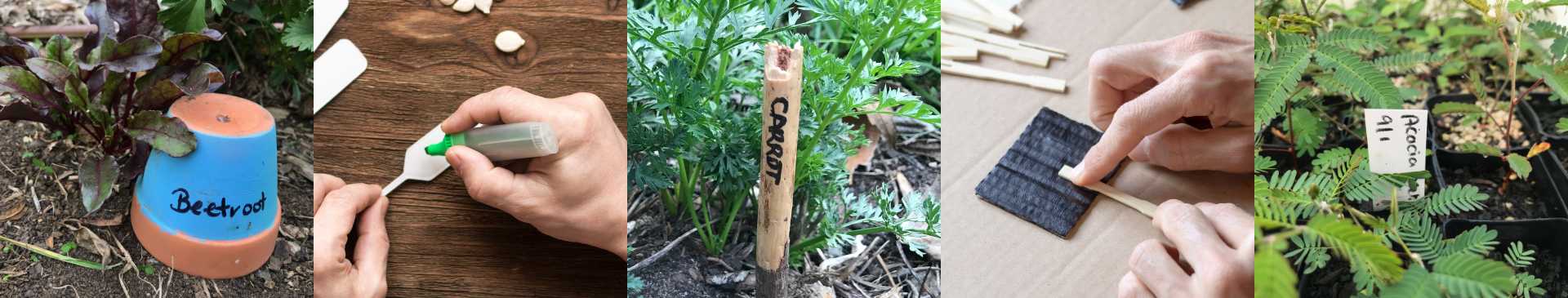 DIY Plant Labels: Add an Individual and Practical Touch to Your Garden