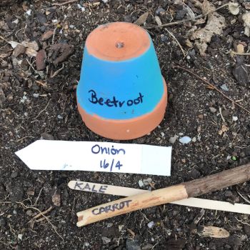 DIY Plant Labels: Add an Individual and Practical Touch to Your Garden