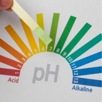 A Complete Guide to Soil pH, and What It Means for Your Gardening