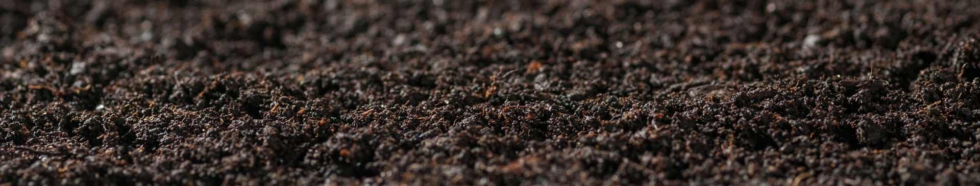 Worms, Vinegar, and Baking Soda: Testing Your Garden Soil the Old-Fashioned Way