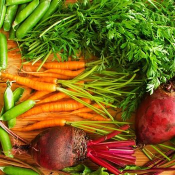 Garden Tips- March 2021