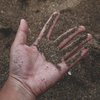 The Essential Guide to Gardening on Sandy Soil