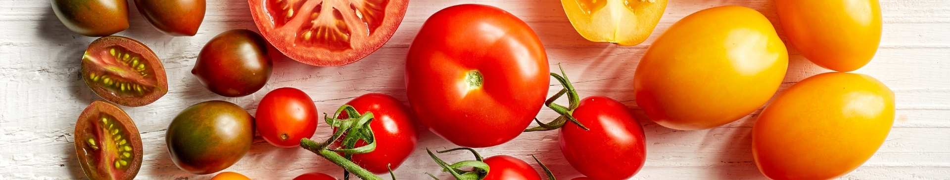 Tomato- How to grow from seed
