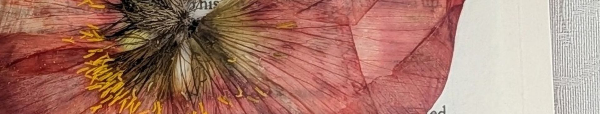 Nature Crafts- A Revamped Lampshade