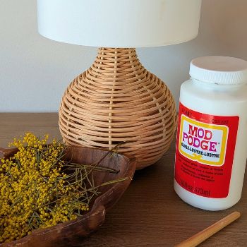 Nature Crafts- A Revamped Lampshade