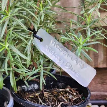 Recycling Soft Drink Cans To Make Permanent Plant Labels