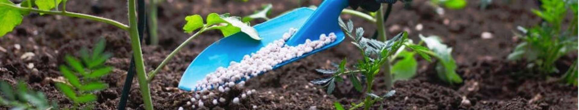 A Complete Guide to Using Fertiliser in the Home Garden 
