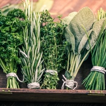 5 Benefits of Starting a Herb Garden