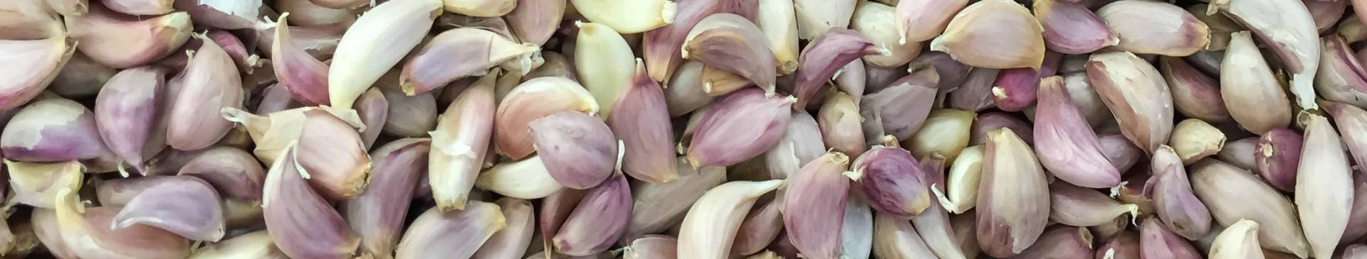 How to Make Fermented Honey Garlic
