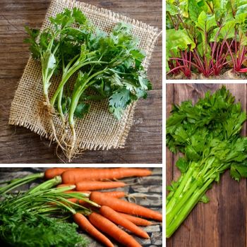 Root to Stalk Eating: Making the Most of Your Produce 