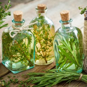 Harnessing the Flavours of Herbs with Homemade Herbal Vinegar