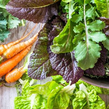 Garden Tips- July 2021