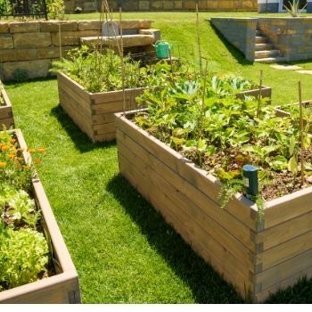 The Pros and Cons of a Raised Garden Bed