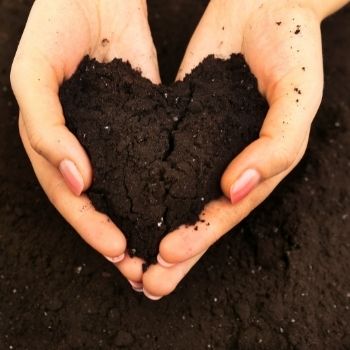 Garden Soil