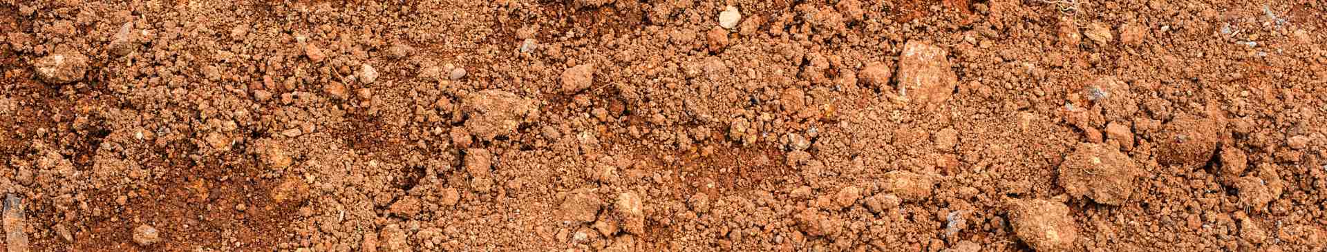 The Essential Guide to Gardening on Clay Soil