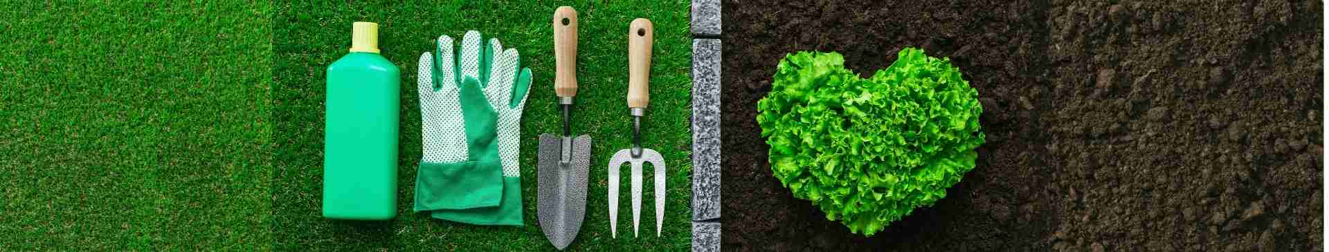 12 Ways Gardening is Good for Your Health and Wellbeing
