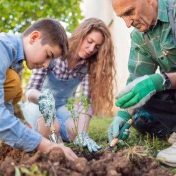 12 Ways Gardening is Good for Your Health and Wellbeing