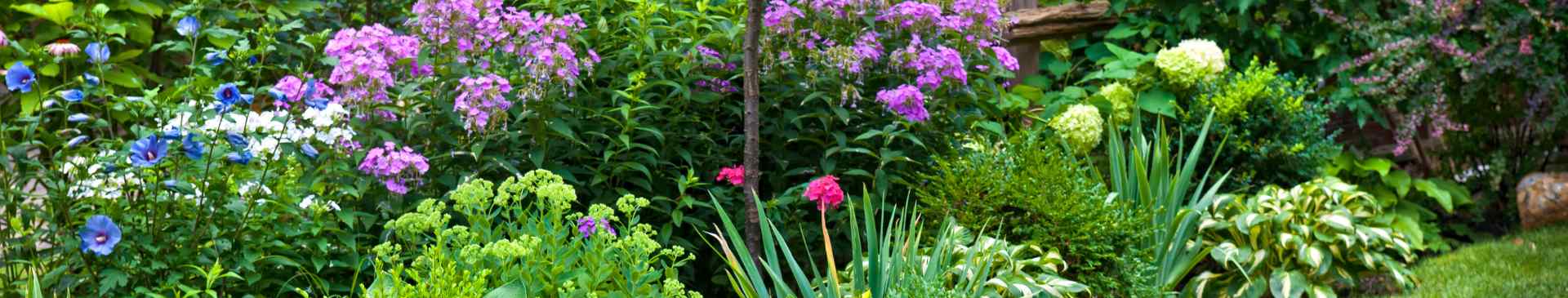 Nourish Your Soul: The Benefits of Gardening for Mind, Body and Spirit
