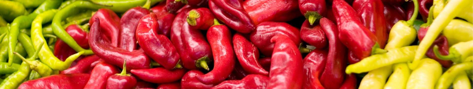 How to Overwinter Chillies for a Heavier Harvest Next Year
