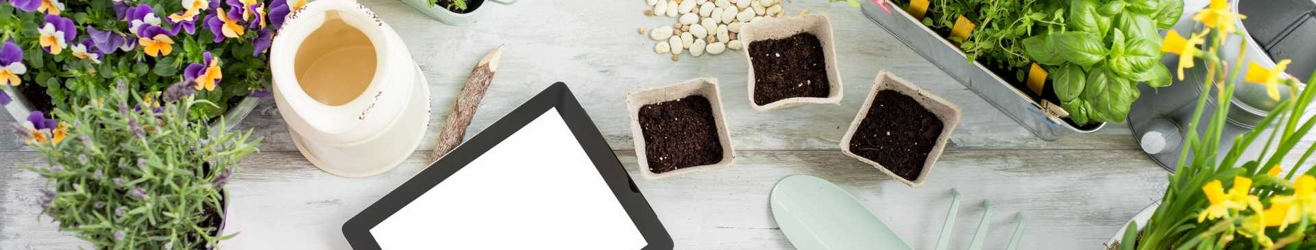 5 Learnings from a Greenhorne Green Thumb
