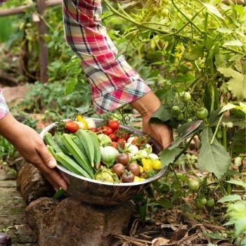 Garden for a Day, Eat for a Decade