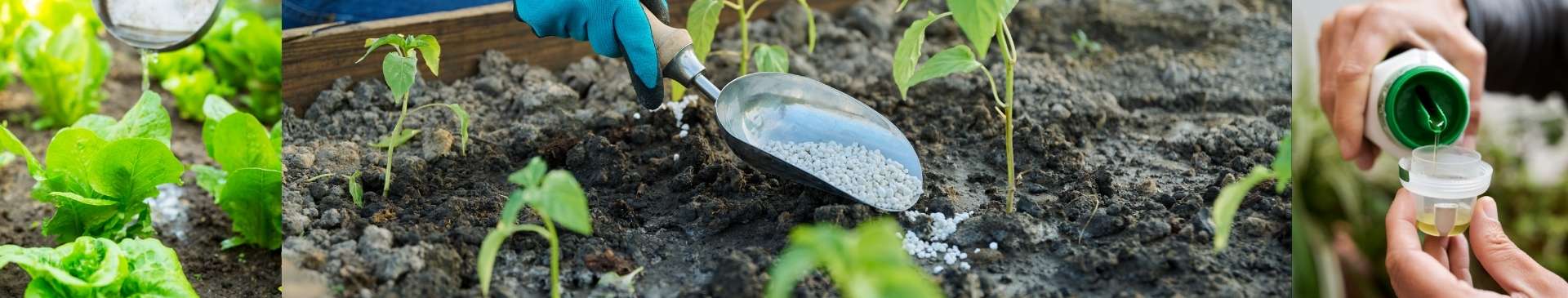 Fertiliser: Why, When and How to Use It