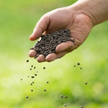 Fertiliser: Why, When and How to Use It