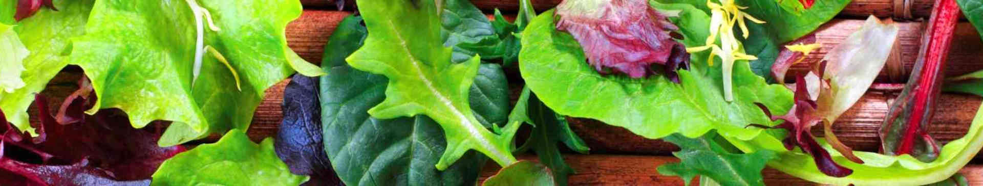 Growing Baby Leaf to Add Interest to Your Table