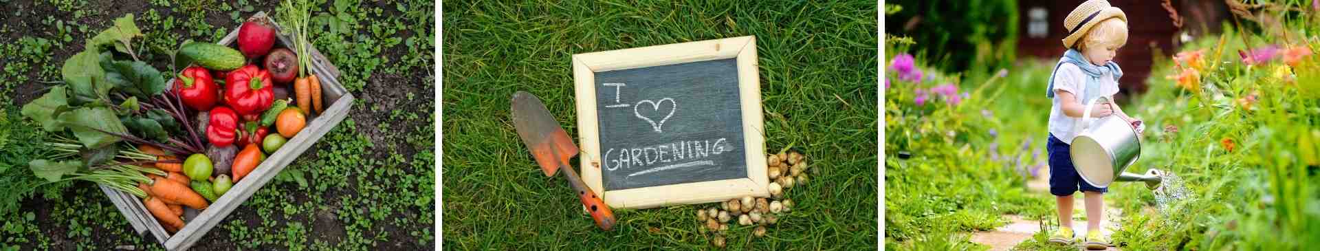 Thinking of Taking Up Gardening? 8 Convincing Reasons You Should Start Today