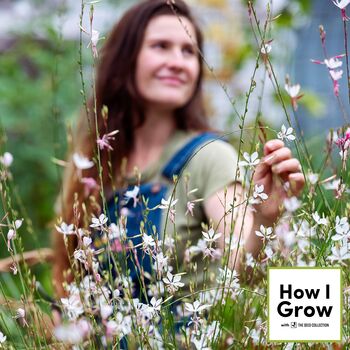 DIY Greenhouses & Embracing Trial and Error | A Chat with Sam from Avonlea Cottage Gardens