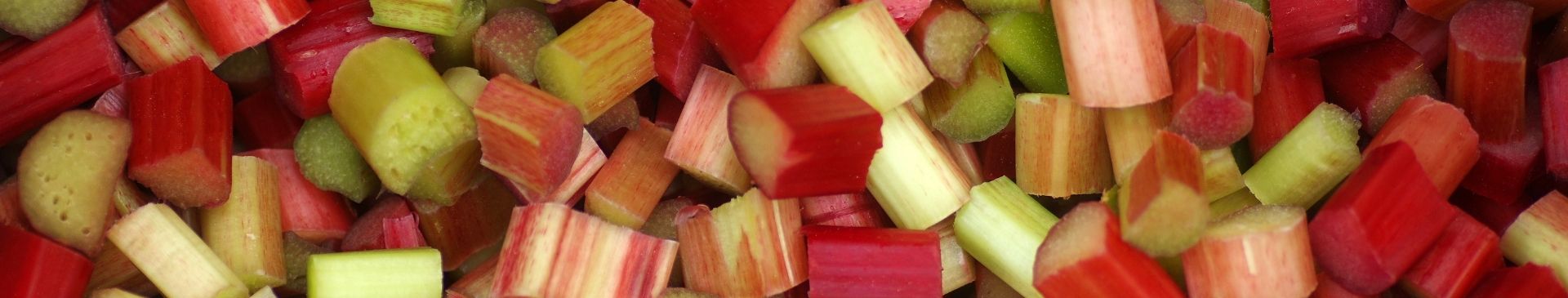 How to Grow Rhubarb from Seed