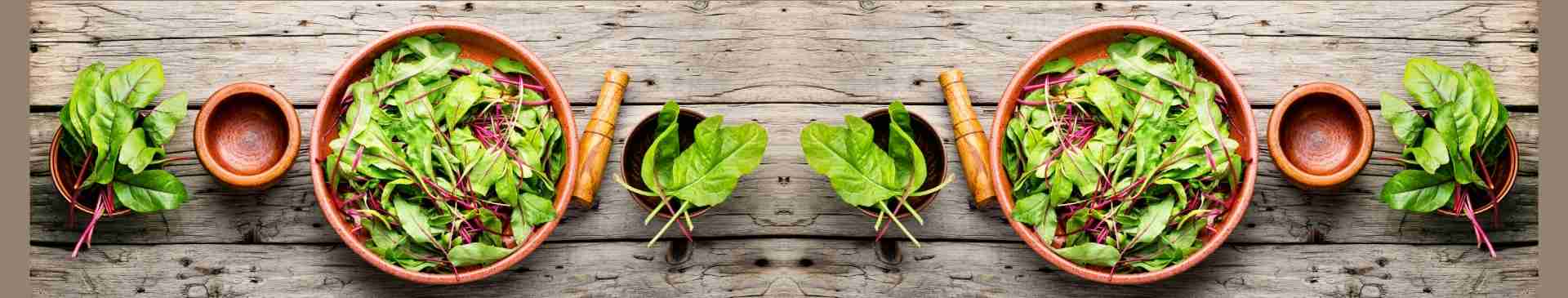 How to Grow Silverbeet from Seed
