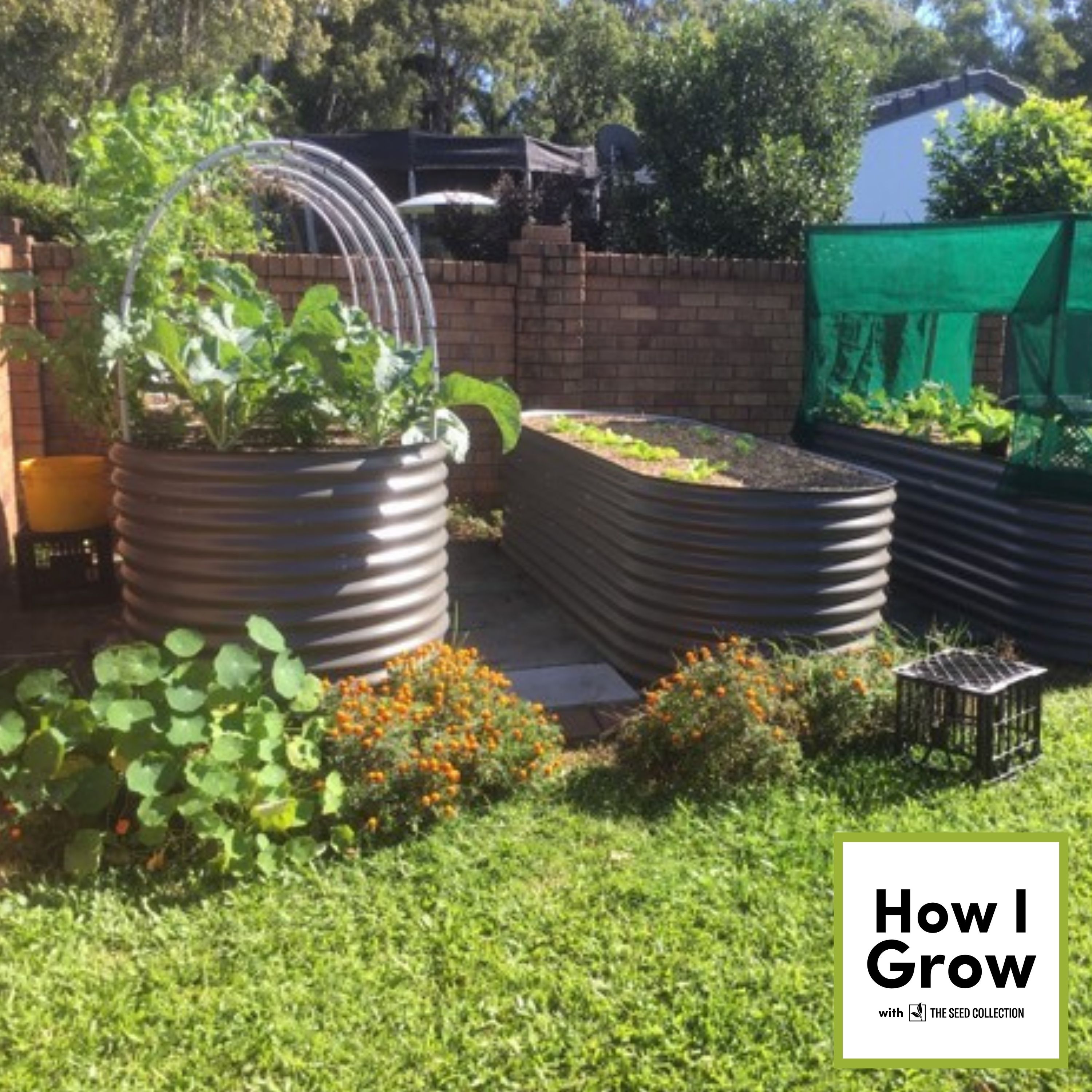 From Palms To Produce | with Doug Urquhart