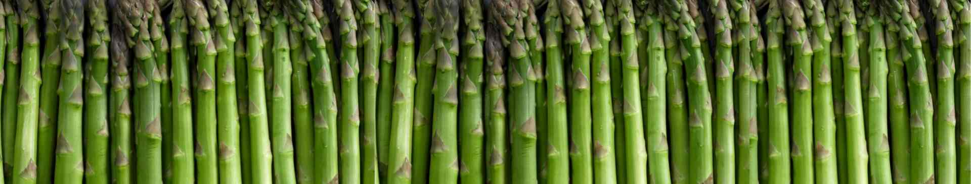 How to Grow Asparagus from Seed