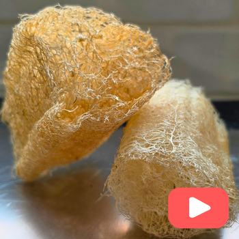 How to Make A Luffa Sponge
