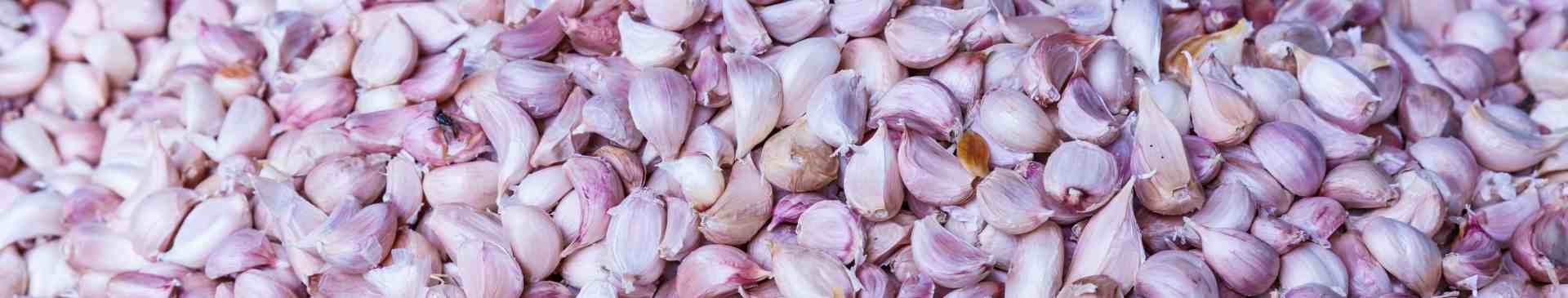 An Introduction to the Different Types of Garlic