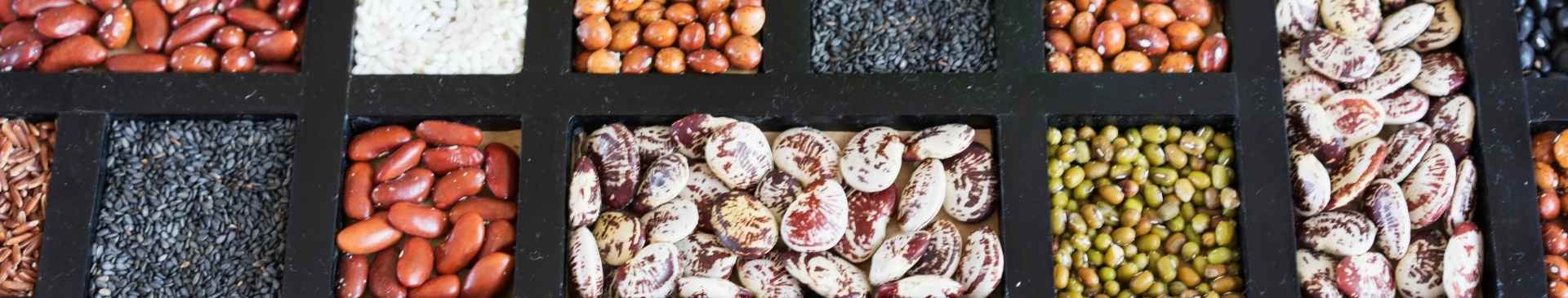 Bulk seed now available