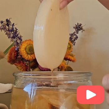 How to Make Apple Scrap Vinegar