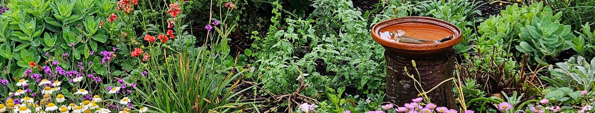 Let's Talk Bird Baths 