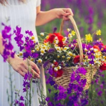 Why You Should Pick Many Types of Flowers and Vegetables Regularly