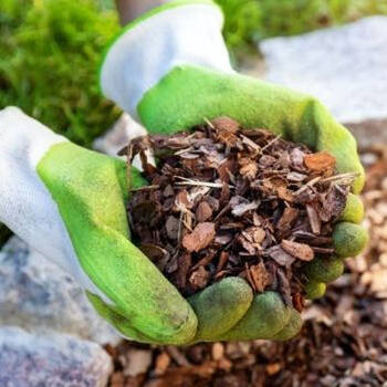 How to Create New, Weed-Free Beds with Sheet Mulching