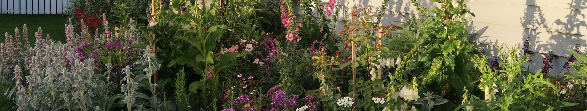 How To Create A Cottage Garden From Scratch