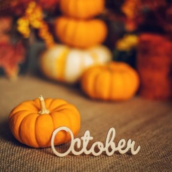 Garden Tips- October 2020