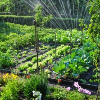 Watering your Garden