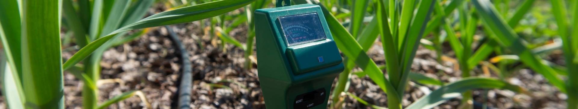 How Soil Moisture Meters Can Help Your Gardening