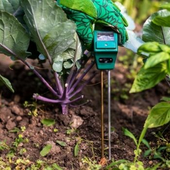 How Soil Moisture Meters Can Help Your Gardening