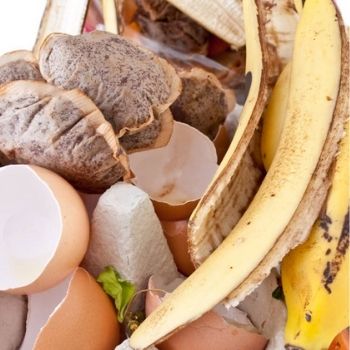 5 Table-to-Soil No-Compost Additives for Your Garden